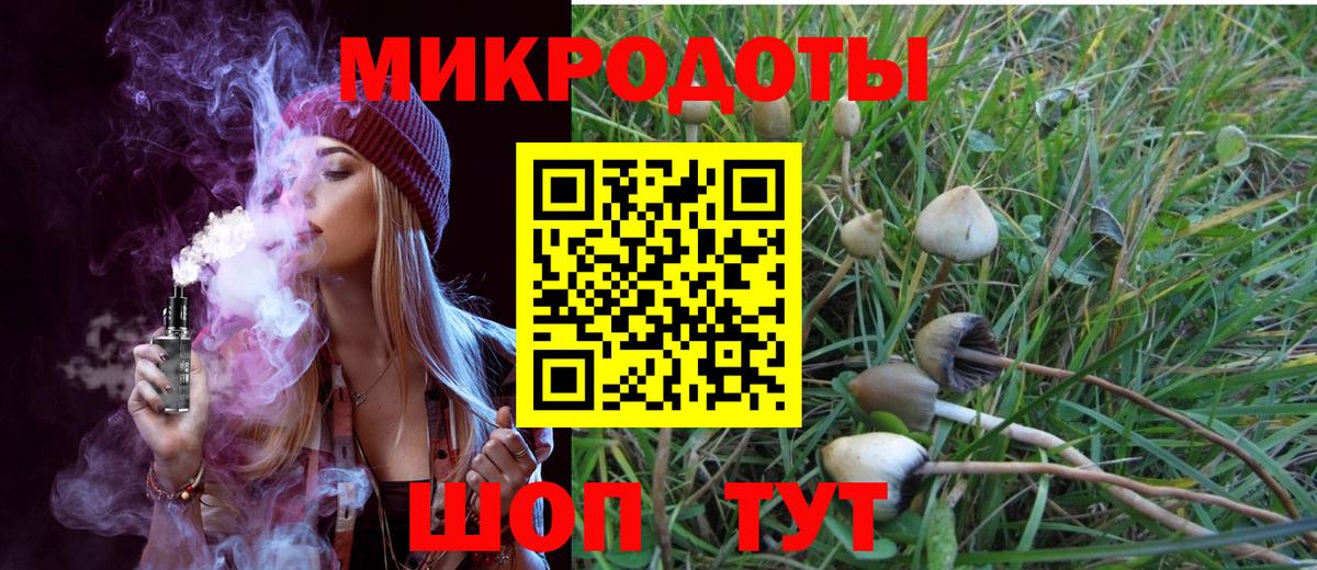 Нарткала  Галлюциногенные грибы Psilocybine cubensis  Вход с VPN  где продают наркотики  Псилоцибиновые грибы Psilocybe 